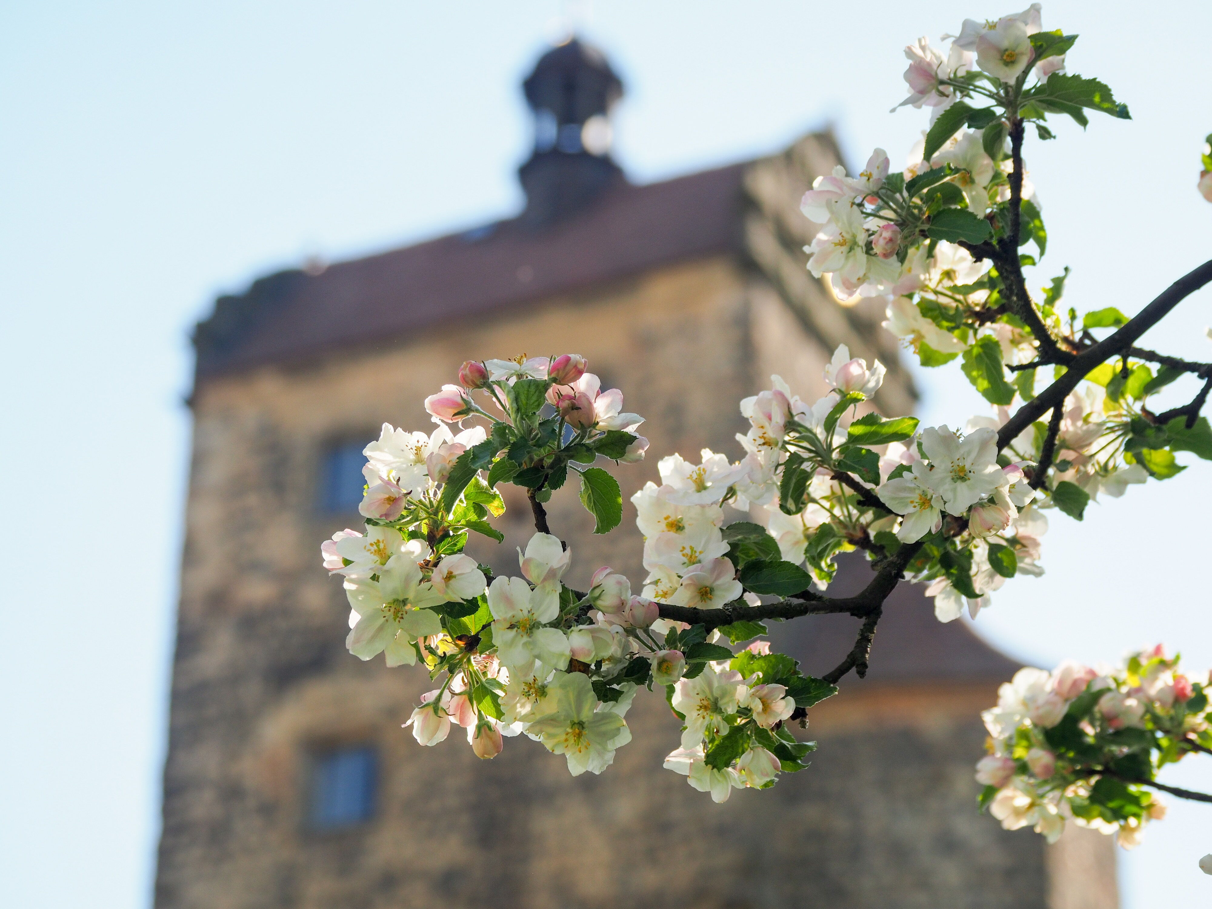 Natur in Stolpen